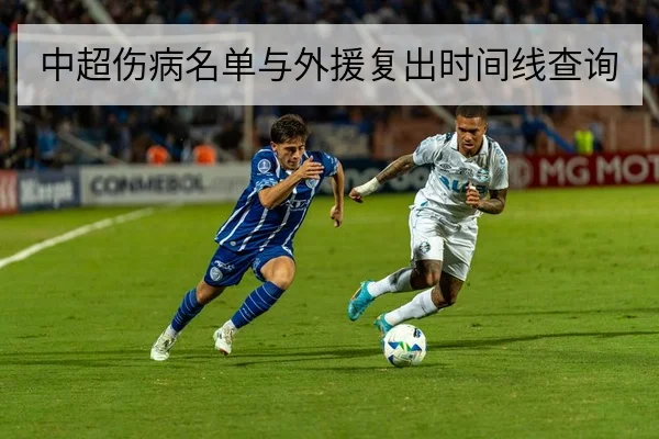 中超伤病名单与外援复出时间线查询